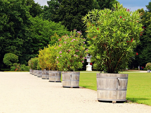 Wie Konnen Sie Ihre Terrasse Schon Gestalten Eu Euforia